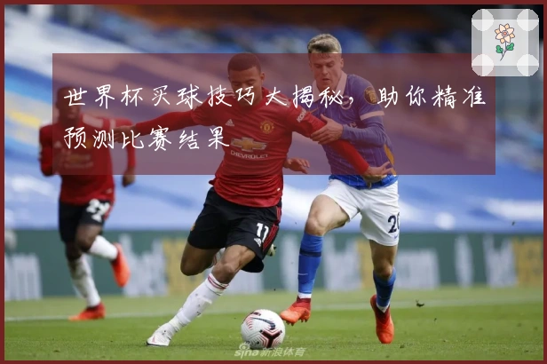 世界杯买球技巧大揭秘，助你精准预测比赛结果