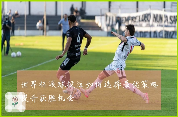 世界杯滚球投注如何选择最优策略提升获胜机会