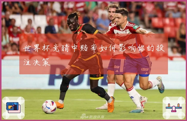 世界杯竞猜中赔率如何影响你的投注决策
