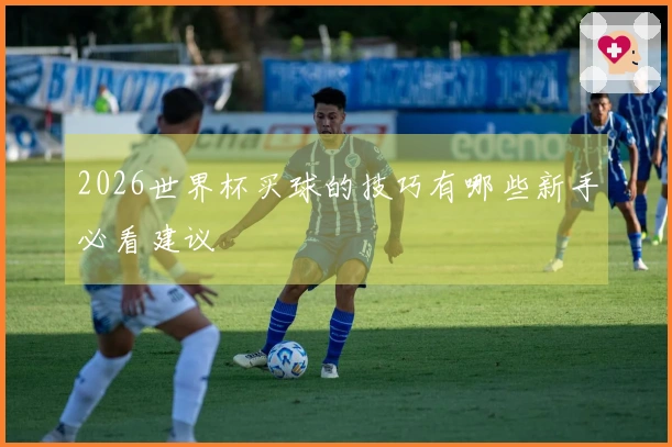 2026世界杯买球的技巧有哪些新手必看建议