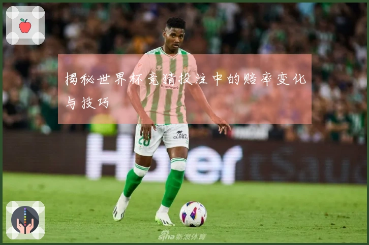 揭秘世界杯竞猜投注中的赔率变化与技巧