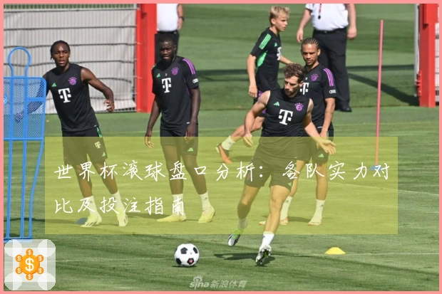 世界杯滚球盘口分析：各队实力对比及投注指南