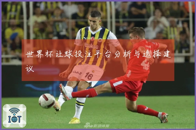 世界杯让球投注平台分析与选择建议