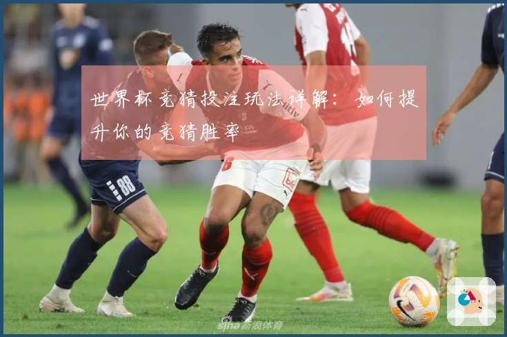 世界杯竞猜投注玩法详解：如何提升你的竞猜胜率