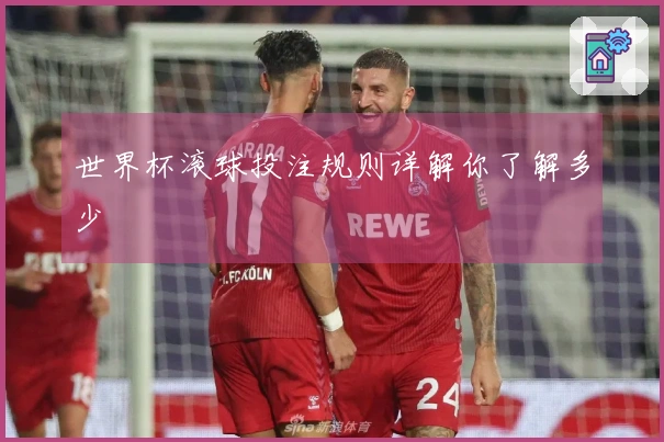 世界杯滚球投注规则详解你了解多少