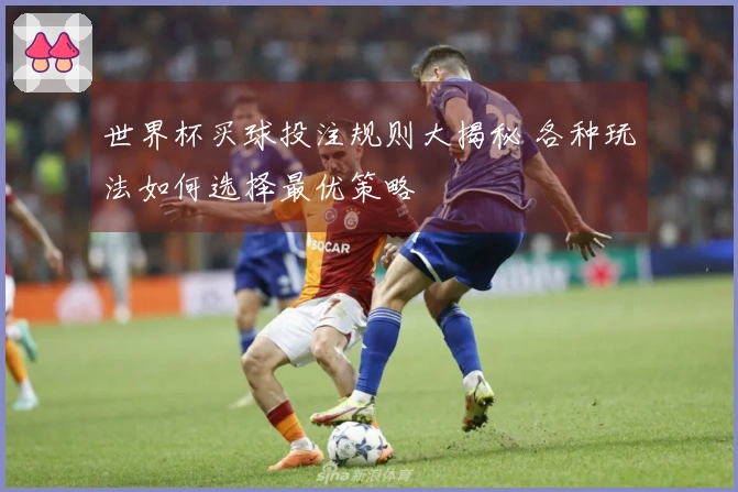 世界杯买球投注规则大揭秘 各种玩法如何选择最优策略