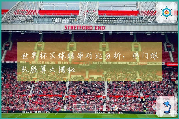 世界杯买球赔率对比分析，热门球队胜算大揭秘
