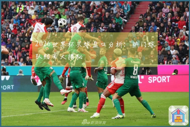 2026世界杯买球盘口分析：热门球队赔率大揭秘