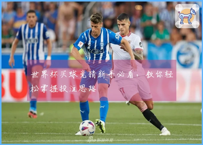 世界杯买球竞猜新手必看，教你轻松掌握投注思路