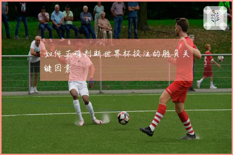 如何正确判断世界杯投注的胜负关键因素