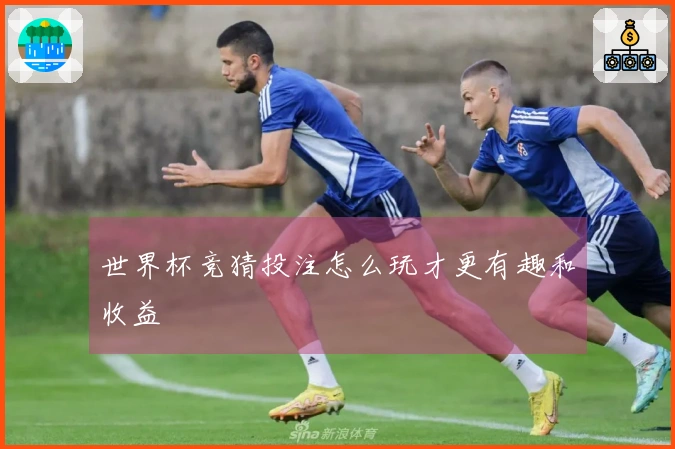 世界杯竞猜投注怎么玩才更有趣和收益