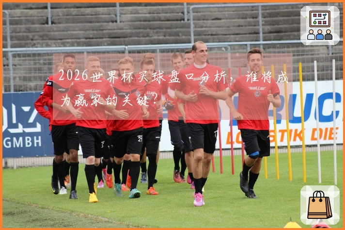 2026世界杯买球盘口分析，谁将成为赢家的关键？