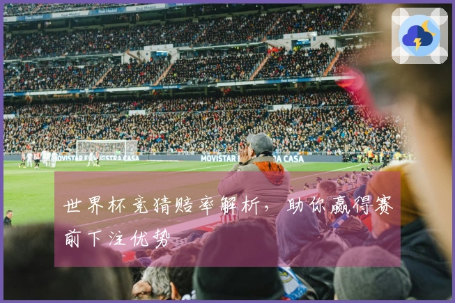 世界杯竞猜赔率解析，助你赢得赛前下注优势