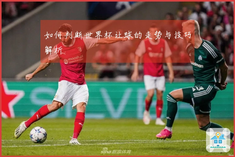 如何判断世界杯让球的走势与技巧解析