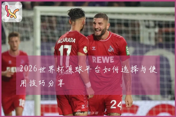 2026世界杯滚球平台如何选择与使用技巧分享