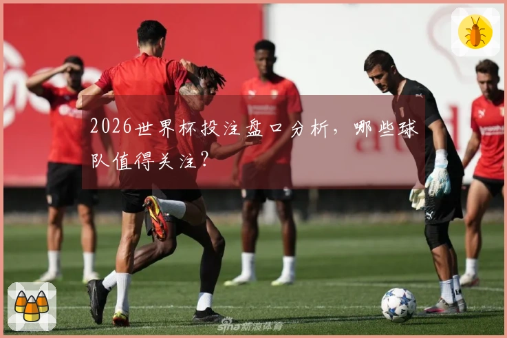 2026世界杯投注盘口分析，哪些球队值得关注？