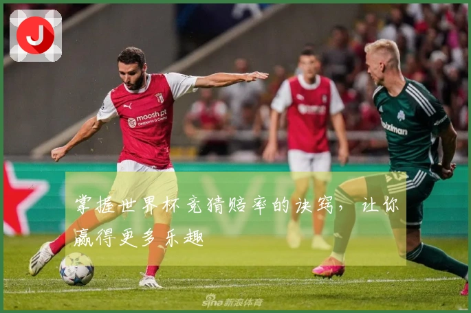 掌握世界杯竞猜赔率的诀窍，让你赢得更多乐趣