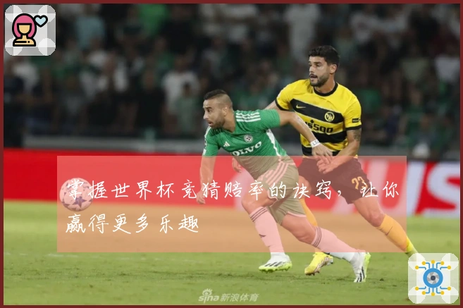 掌握世界杯竞猜赔率的诀窍，让你赢得更多乐趣