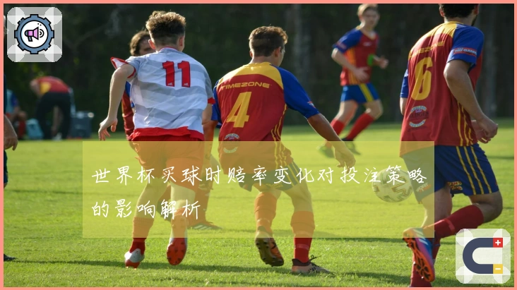 世界杯买球时赔率变化对投注策略的影响解析