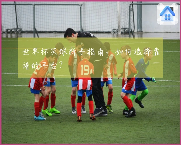 世界杯买球新手指南，如何选择靠谱的平台？