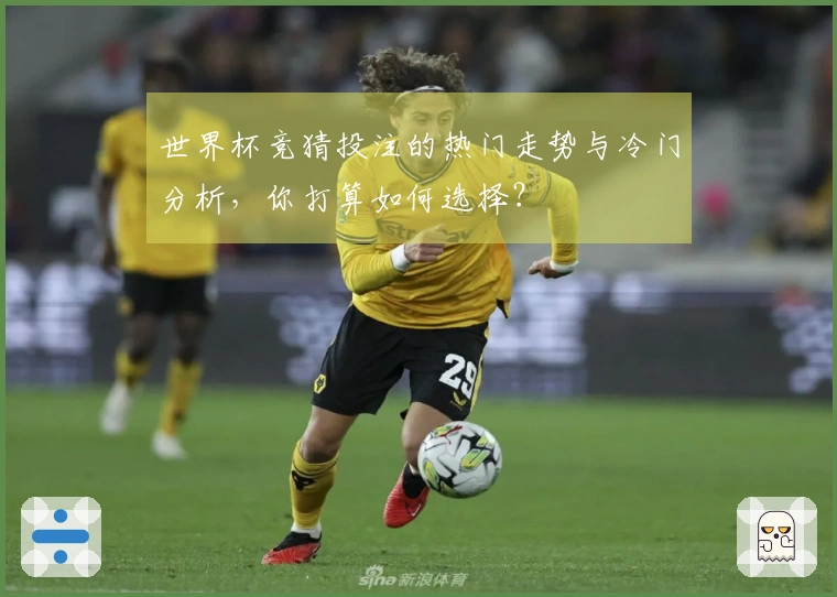 世界杯竞猜投注的热门走势与冷门分析，你打算如何选择？
